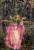 Christiane Noll: 'Lebensbaum', 2003, 70x100cm, Mischtechnik auf Papier
